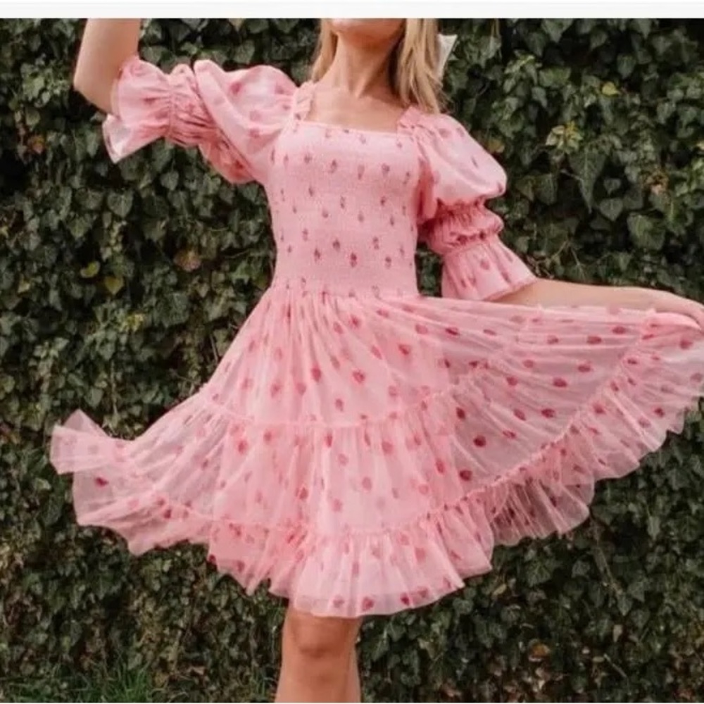 Ivy City Co Jess Strawberry Fields Dress